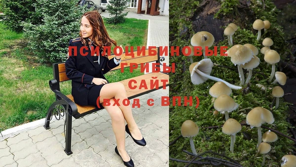 амфетамин Бородино