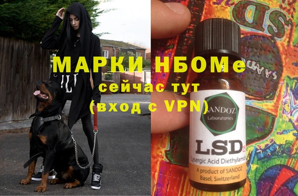 стафф Володарск